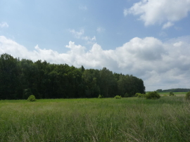 WILLA Z WIDOKIEM NA PANORAMĘ LASU